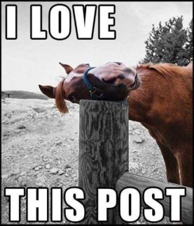 funny facebook comment pictures