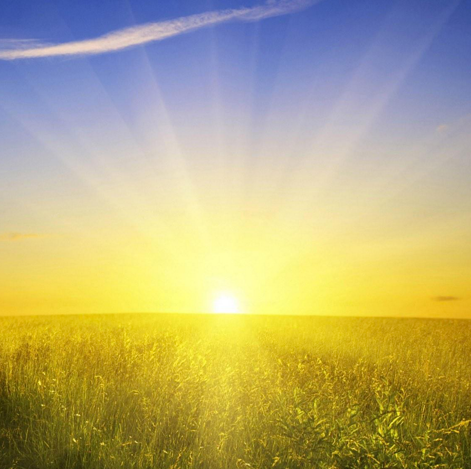 sunshine