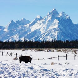 most viral facebook photos from U.S. National Parks