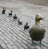 following
