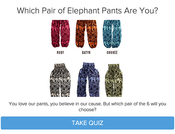 what pair of elephants