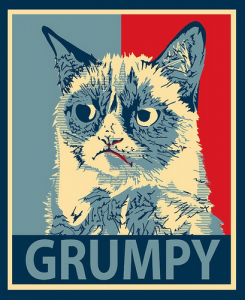 Grumpy Admin Assistant Are You a Crappy Fan Page Admin?