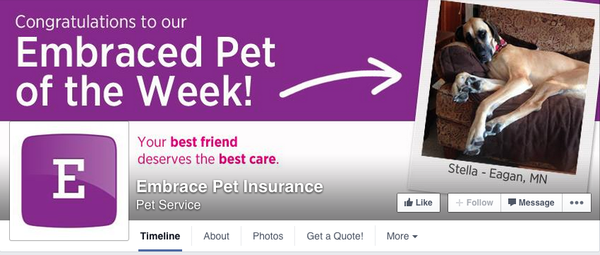 6 Ways to Make Your Branding on Facebook NOT Suck!