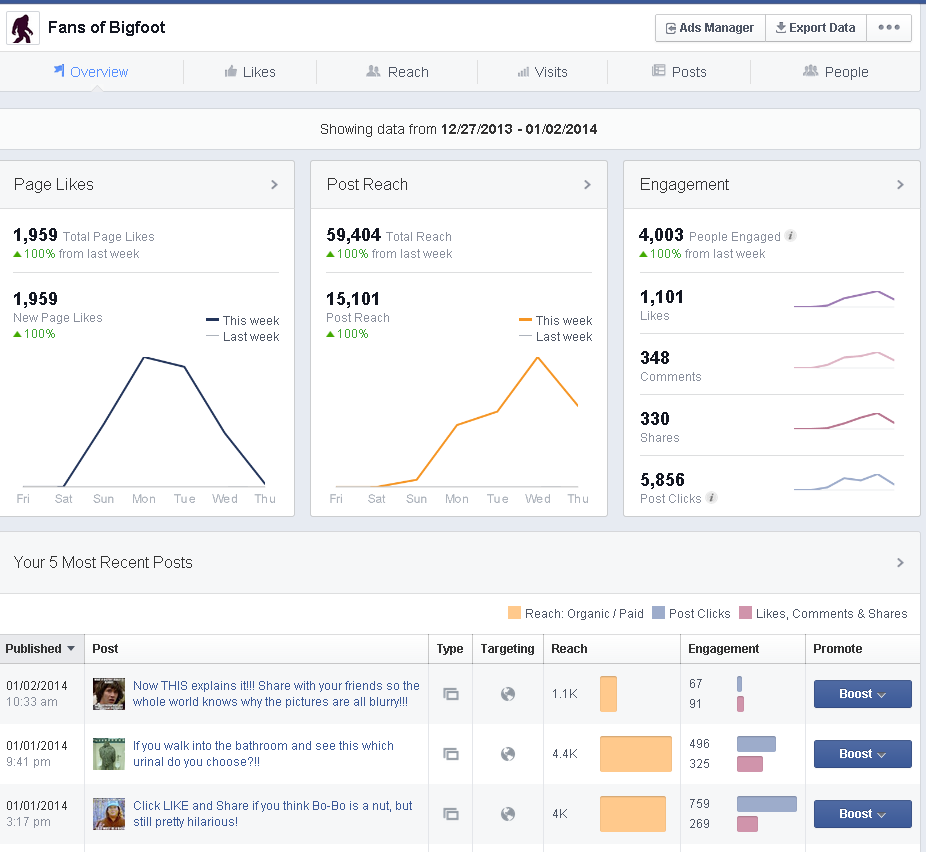 facebook page insights overview