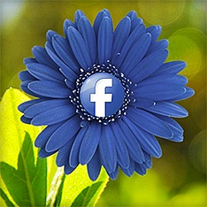 how to advertise your business on facebook