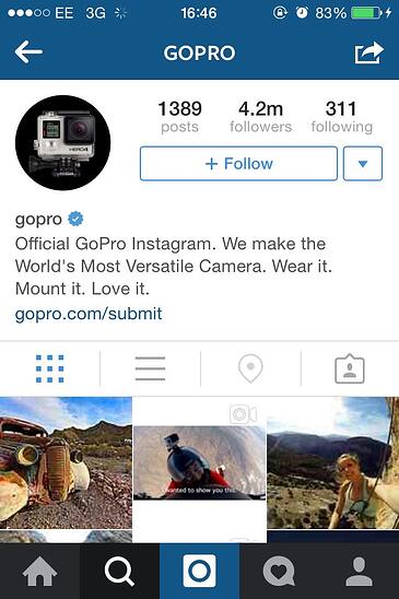 Go Pro cool instagram bio ideas (graphic)