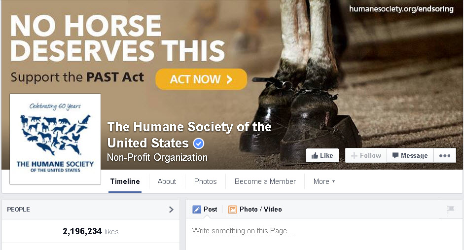 facebook-pages-for-non-profits