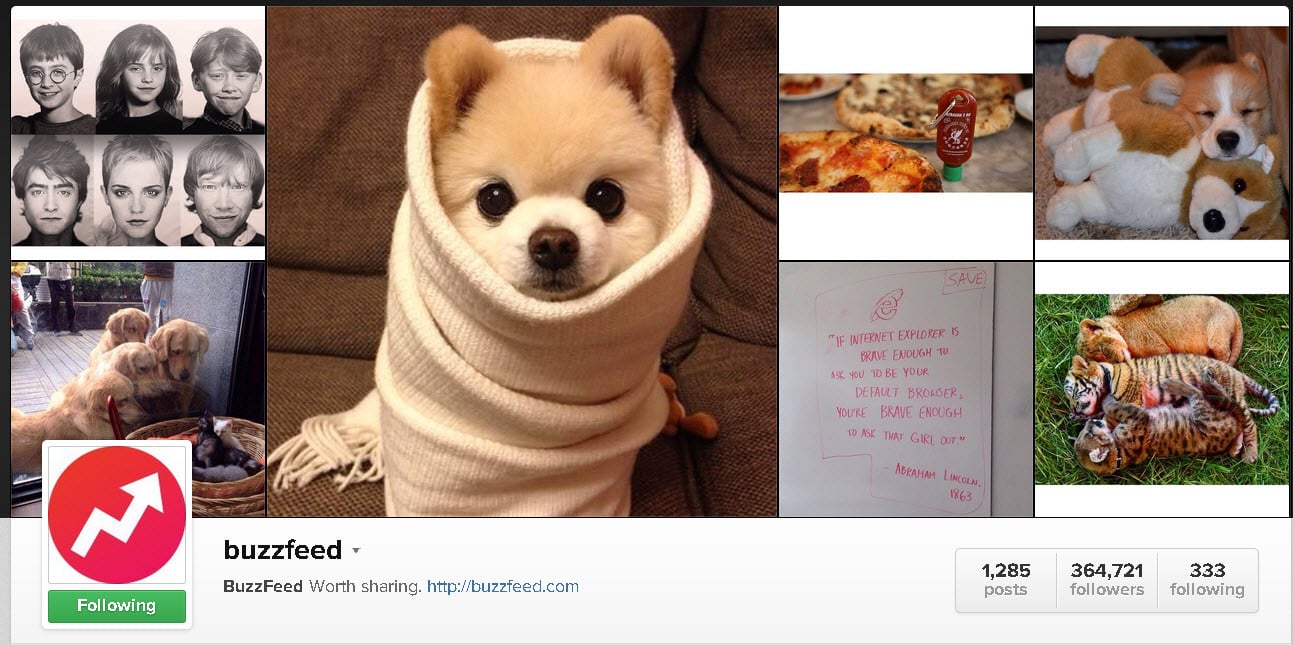 20 Funny Instagram Accounts to Look at When You're Sad (or Bored)