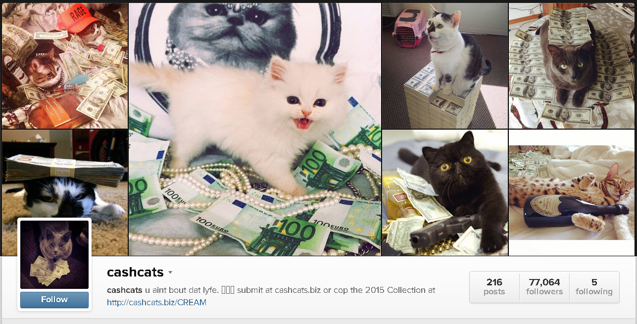 20 Funny Instagram Accounts to Look at When You're Sad (or Bored)