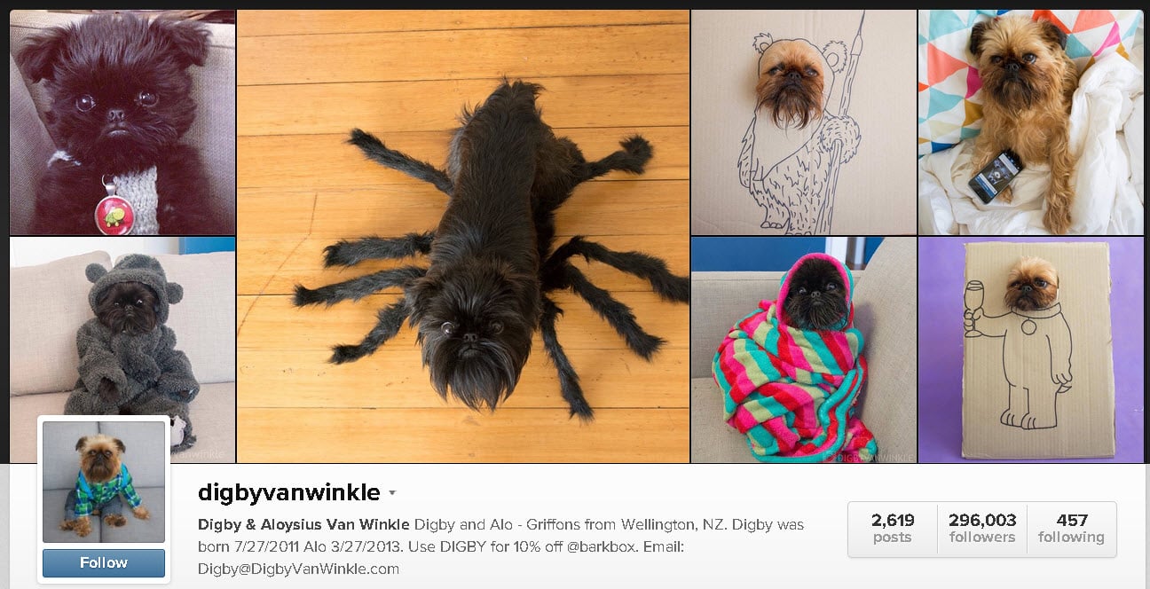 20 Funny Instagram Accounts to Look at When You're Sad (or Bored) 20 Funny Instagram Accounts to Look at When You're Sad (or Bored)