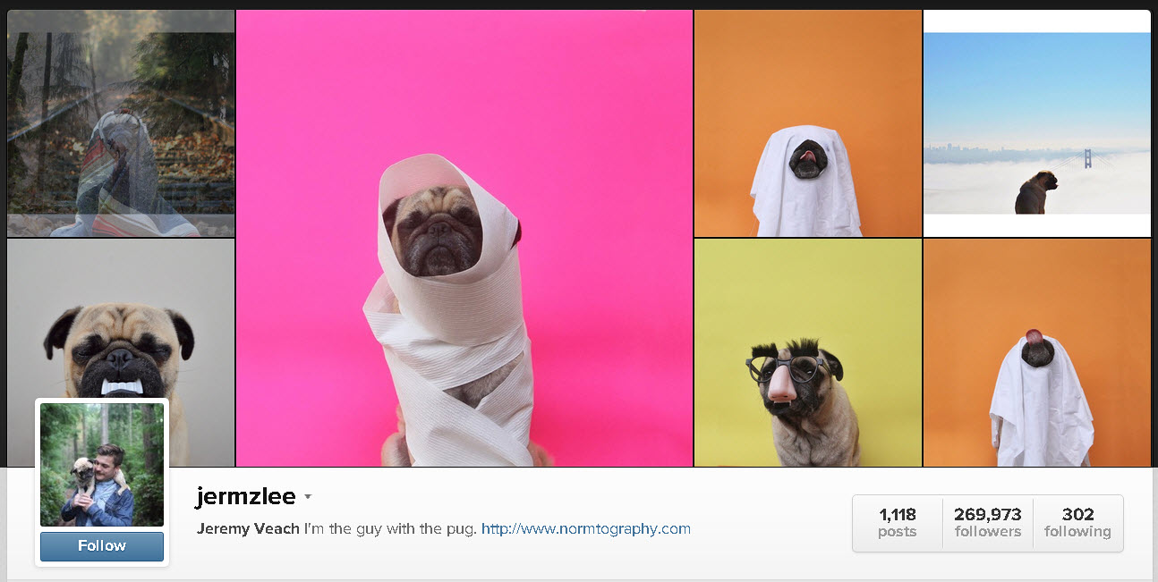 funny-instagram-accounts