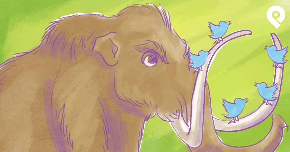 6 Ways for Beginners to GROW a Mammoth-Sized Twitter Following (yes, Organically!!)