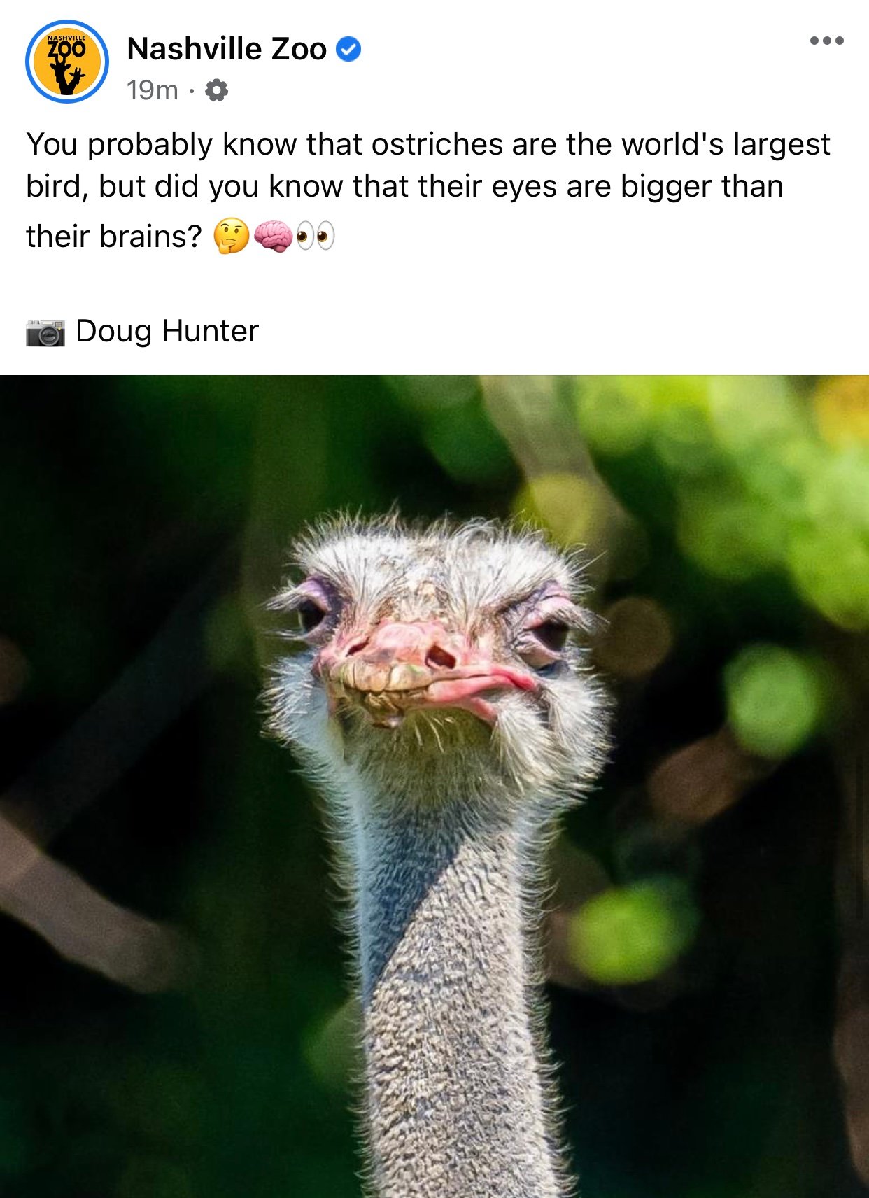 How to Write a Facebook Post: 23 Tips to Master