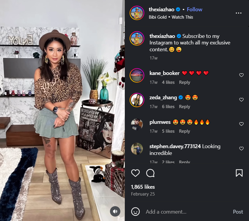 Instagram Subscriptions
