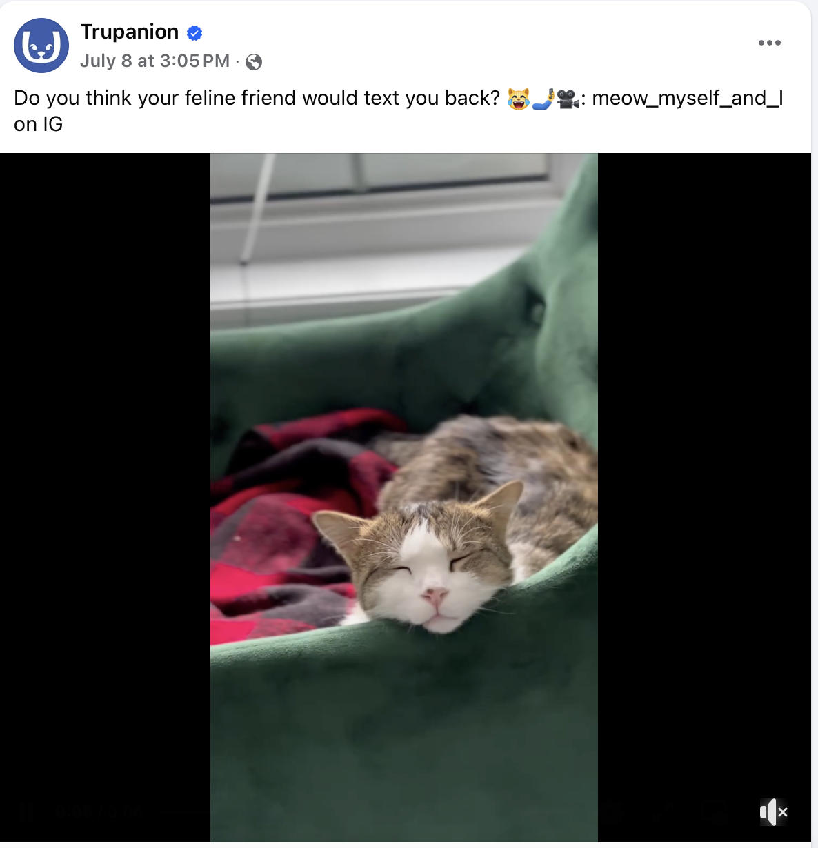 ask your audience a question