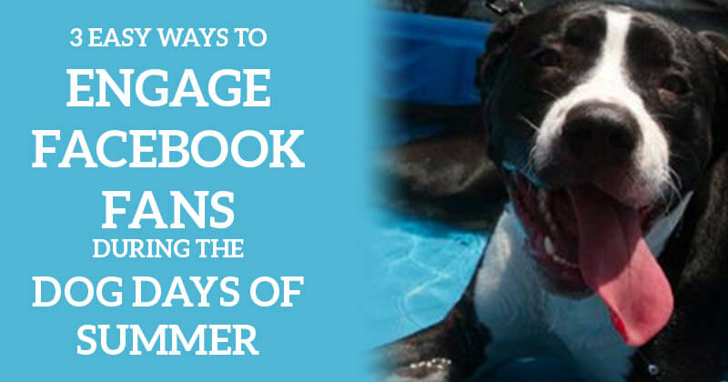 3 Easy Ways to Engage Facebook Fans During the Dog Days of Summer