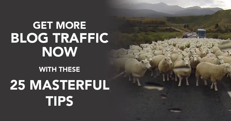 Get More Blog Traffic NOW with These 25 Masterful Tips