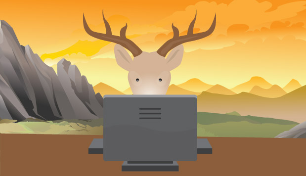 How a Facebook Page About Deer Went From 0 to 500K Likes (with No Ads)