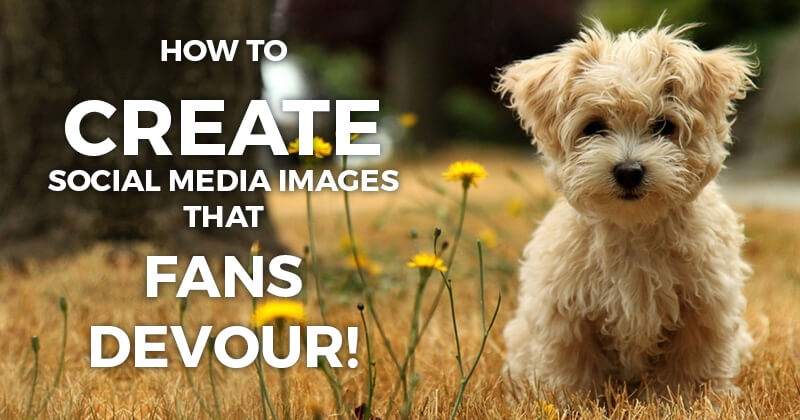How to Create Social Media Images that Fans DEVOUR!