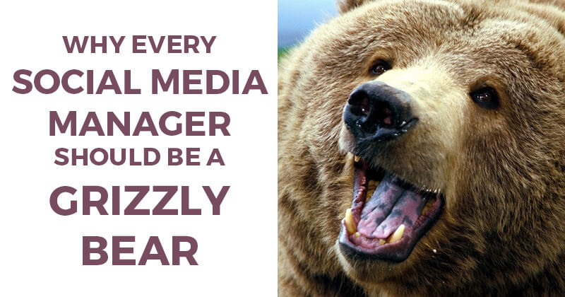 Why Every Social Media Manager Should be a Grizzly Bear