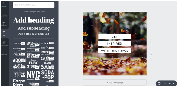 shareable social media graphics-canva 2.png