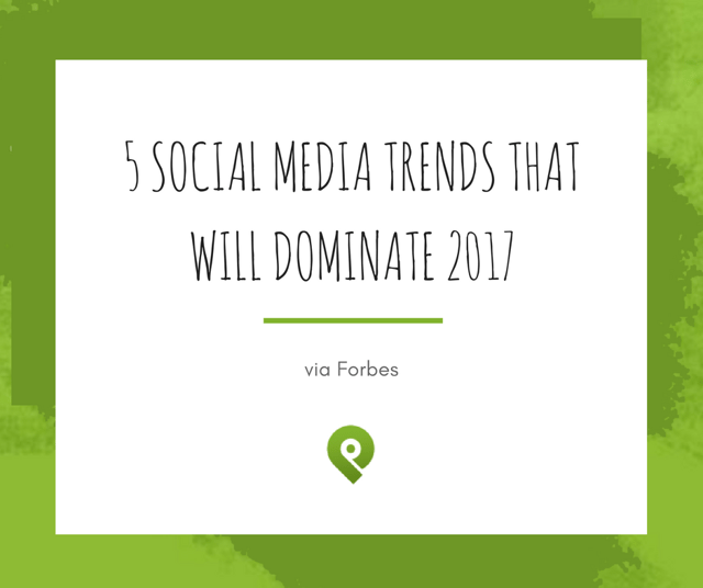 social-media-trends-dominate-2017.png
