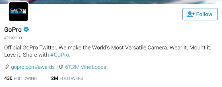 twitter bio for business-gopro-1.png