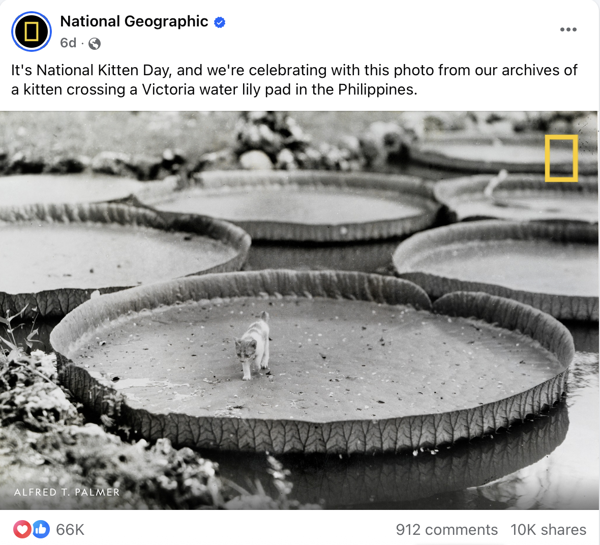 viral photo