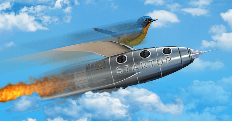 use-twitter-for-your-startup use-twitter-for-your-startup