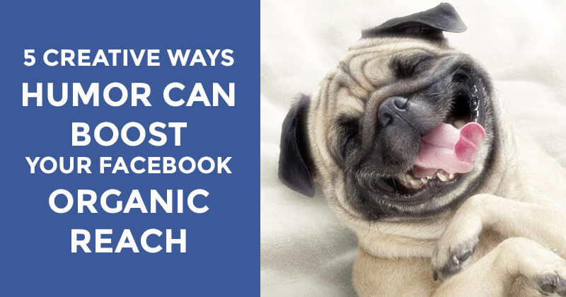 how to use funny Facebook posts to boost engagement how to use funny Facebook posts to boost engagement