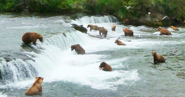 49 Viral Facebook Photos Posted by U.S. National Parks (So Beautiful!)