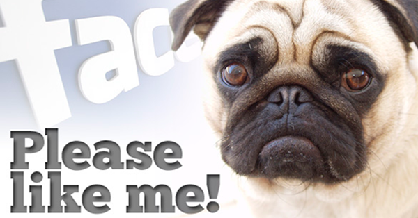 9_Surefire_Ways_to_Get_More_Likes_on_Your_Facebook_Page-ls