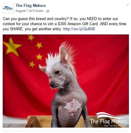 Facebook posting strategy: The Flag Makers example
